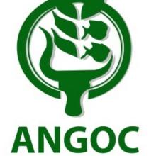 Asian NGO Coalition for Agrarian Reform and Rural Development (ANGOC)