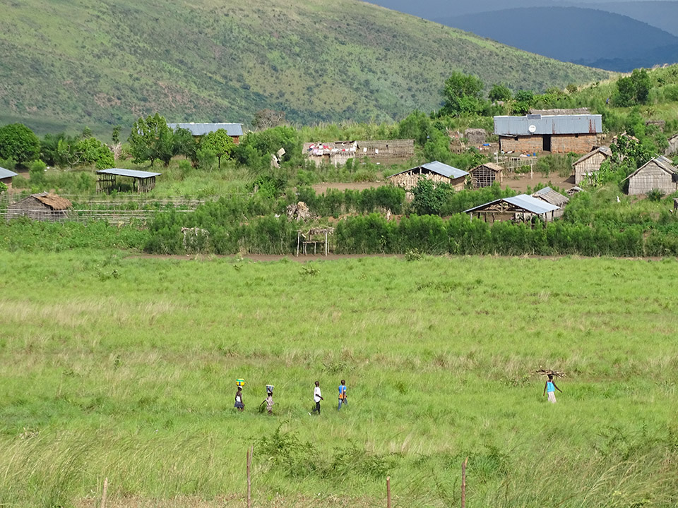 Land reform support programme